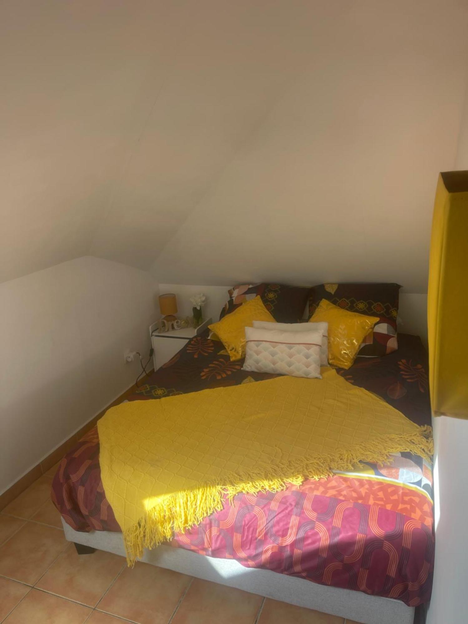 Casa Coliving Avec Chambre Salle De Bain Individuelles Privatives Saint Pierre Esterno foto